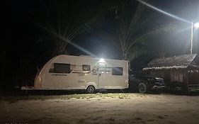 Khaosok August Freedom Camp