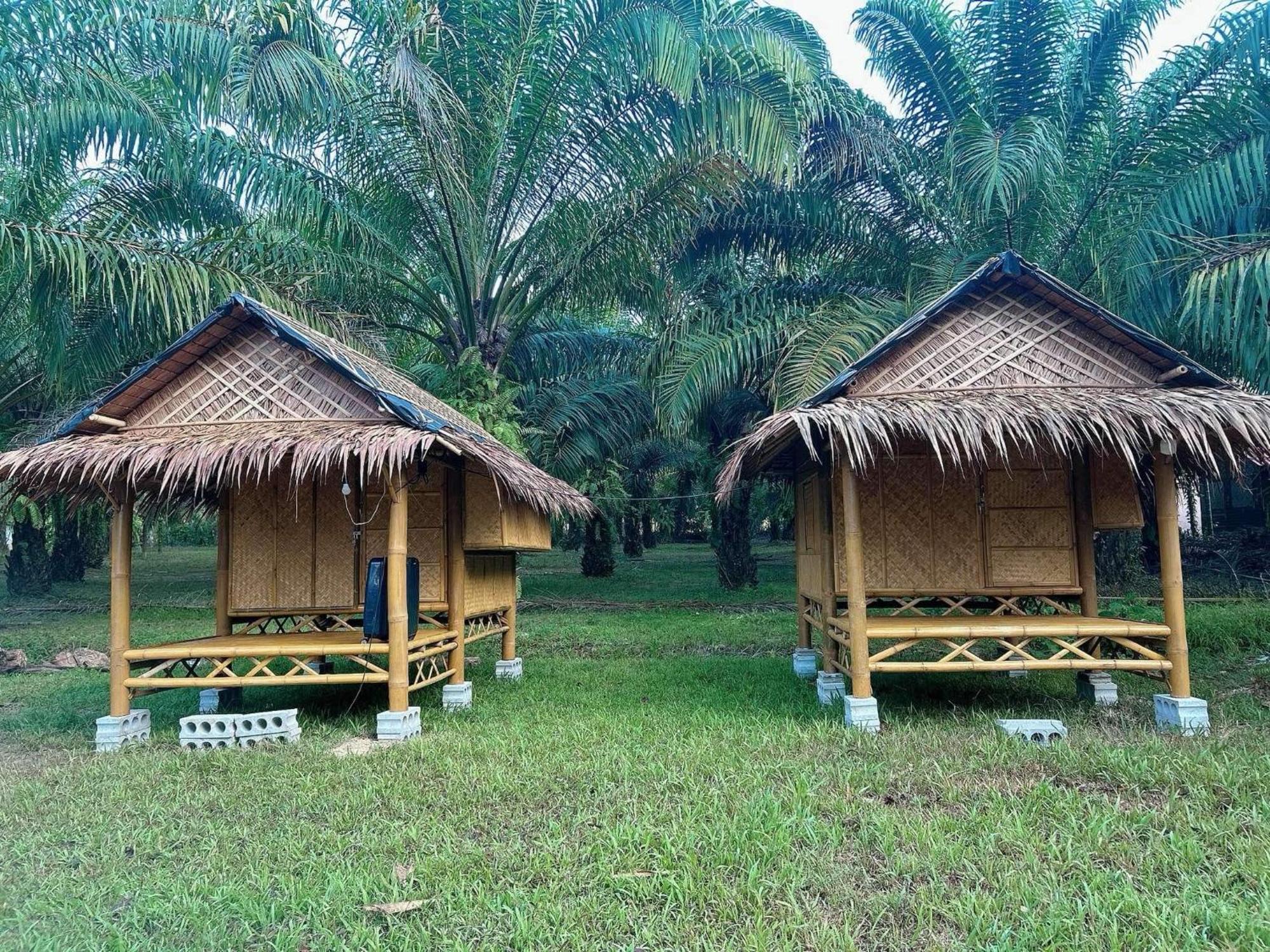 Hotel Khaosok August Freedom Camp Khao Sok National Park Exterior foto